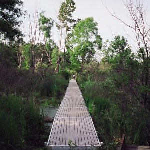 220' Metal craft dock that makes a custom Right turn with two 8X8 platforms. Accessories included stairs, bumpers cleats and custom pads for the deep muck present on this installation.