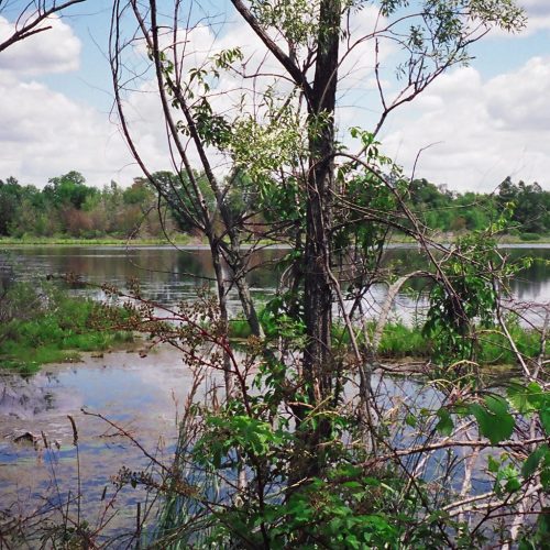 220' Metal craft dock that makes a custom Right turn with two 8X8 platforms. Accessories included stairs, bumpers cleats and custom pads for the deep muck present on this installation.