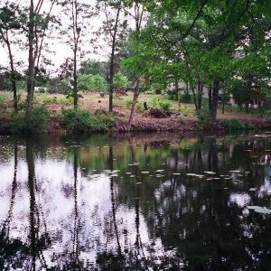 170' of Lake Oakland frontage. We used 2-4' Canadian red granite boulders. Features included a landward and waterward beach with natural grindstone steps and Metal Craft Dock.